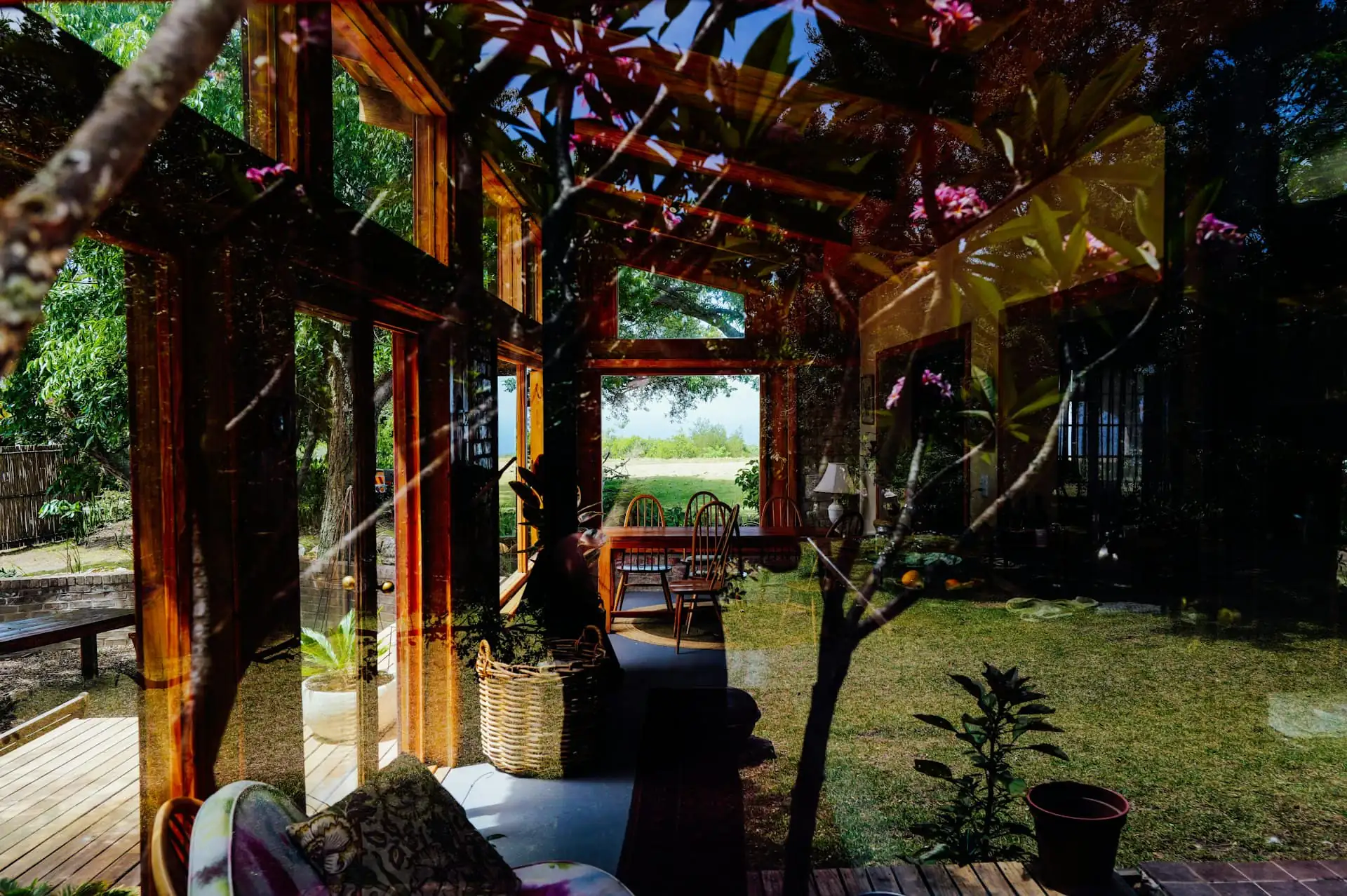 Lush tropical courtyard garden with timber deck and layered green planting