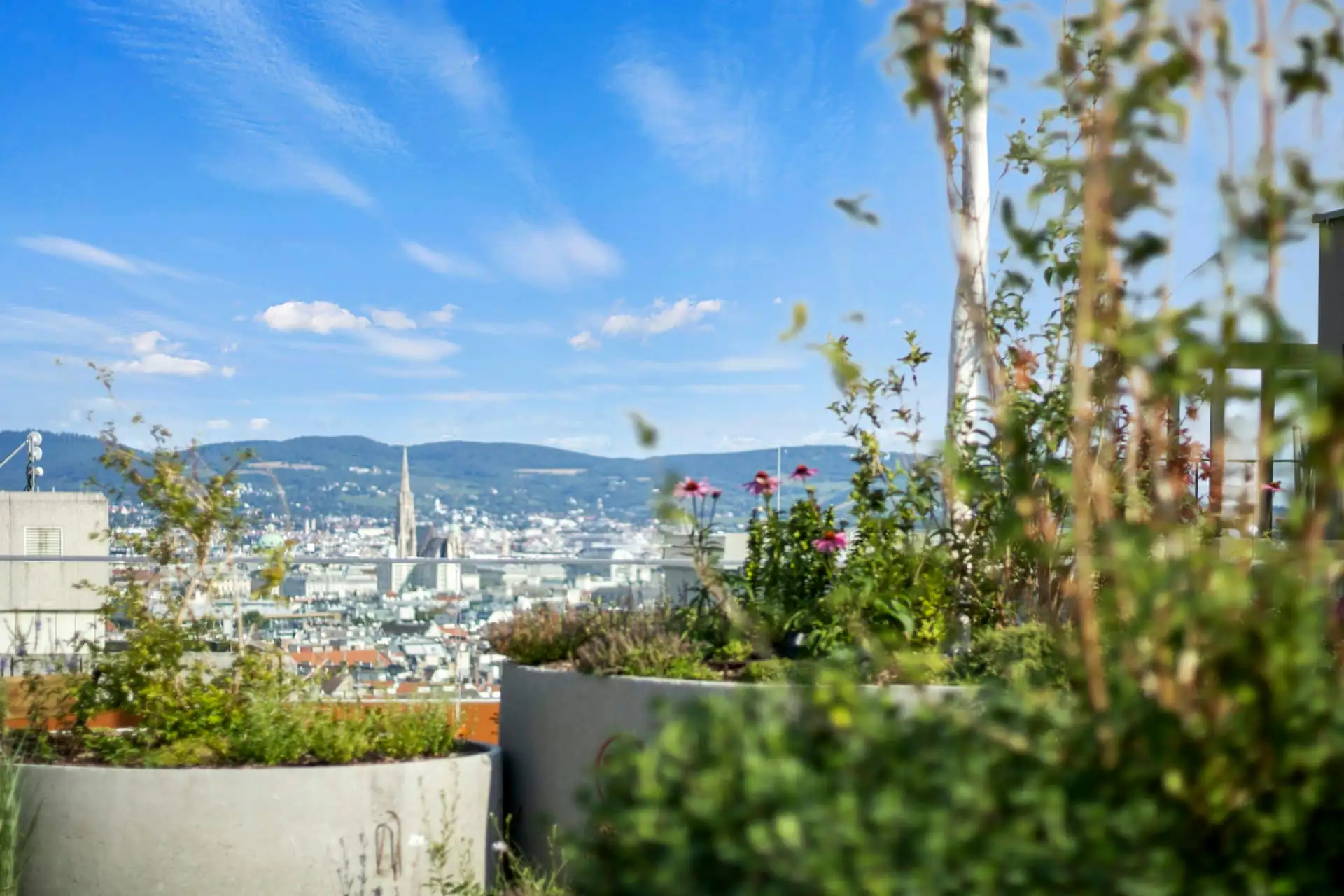 Rooftop terrace with pergola, planters and city skyline